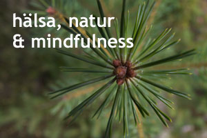 Hälsa, natur och mindfulness